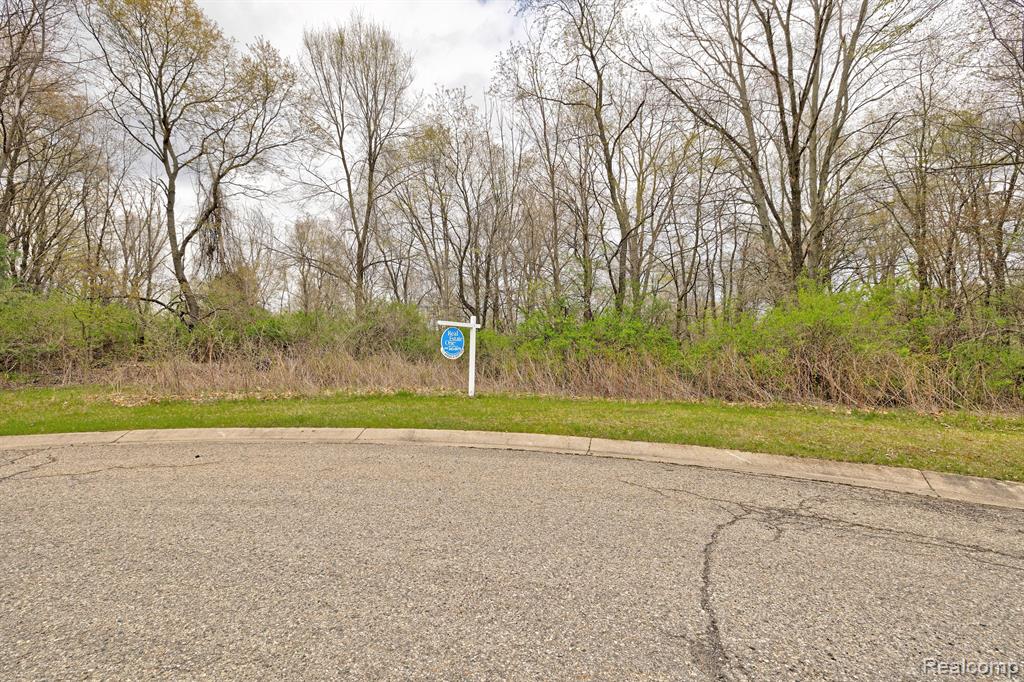 502 BLUEBIRD Trail, Ortonville, MI 48462 — Photo 28