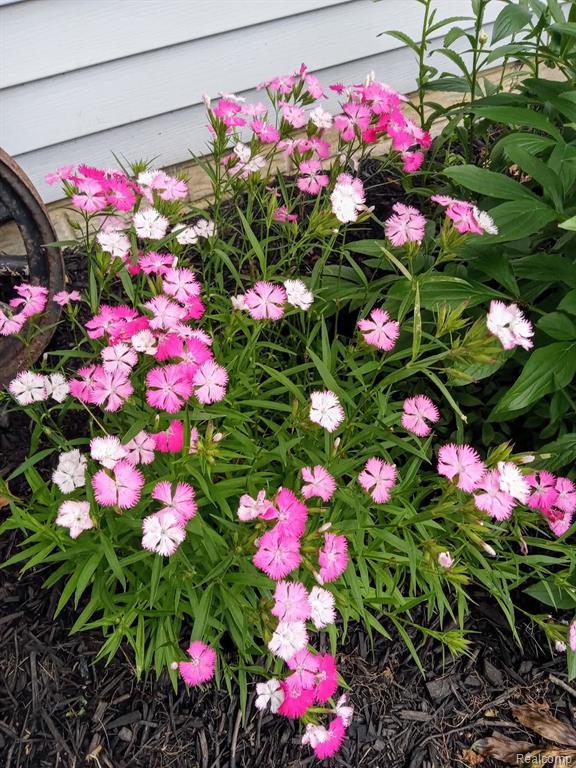2401 E Farrand Road, Clio, MI 48420 — Photo 38