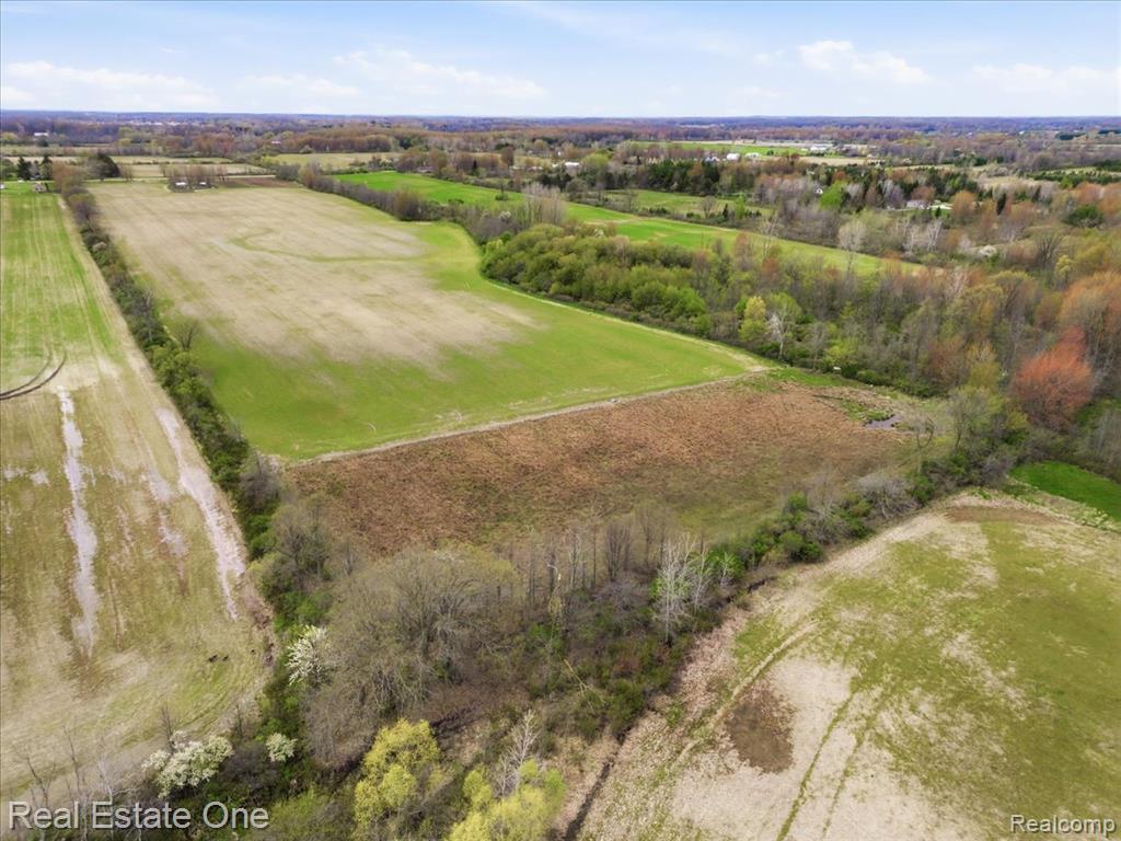 2320 Braidwood Road, Riley, MI — Photo 4