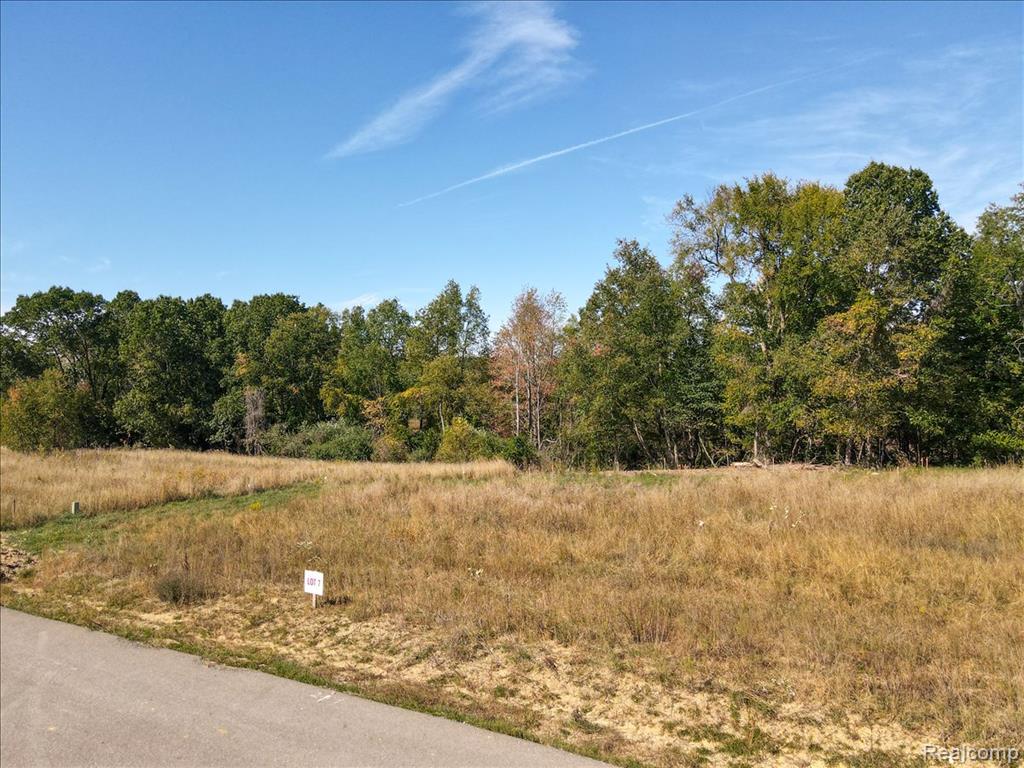4070 Metamora Ridge, Metamora, MI 48455 — Photo 38