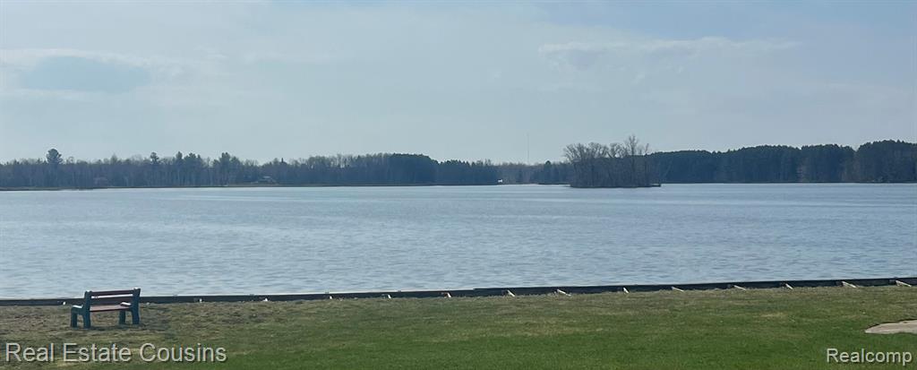 6214 Larch Trail, Lake, MI 48632 — Photo 12