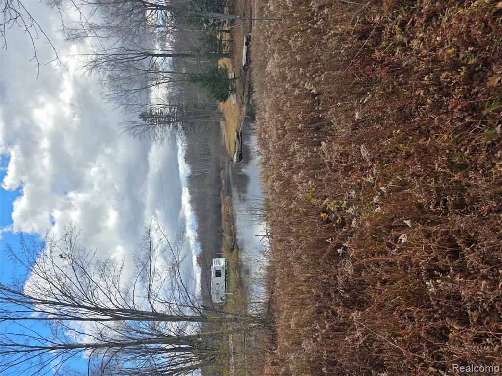 VL Birch Road, Evart, MI 49631 — Photo 3
