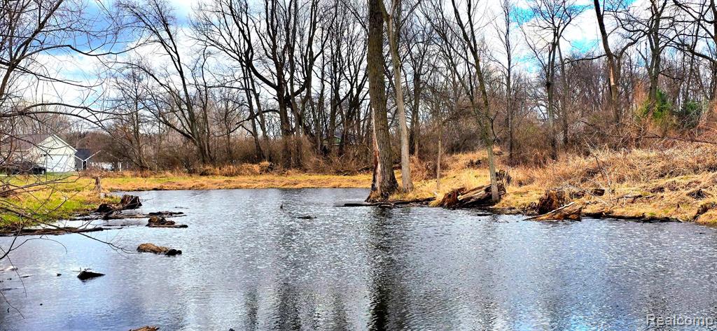 9910 Iosco Ridge Drive, Gregory, MI 48137 — Photo 2
