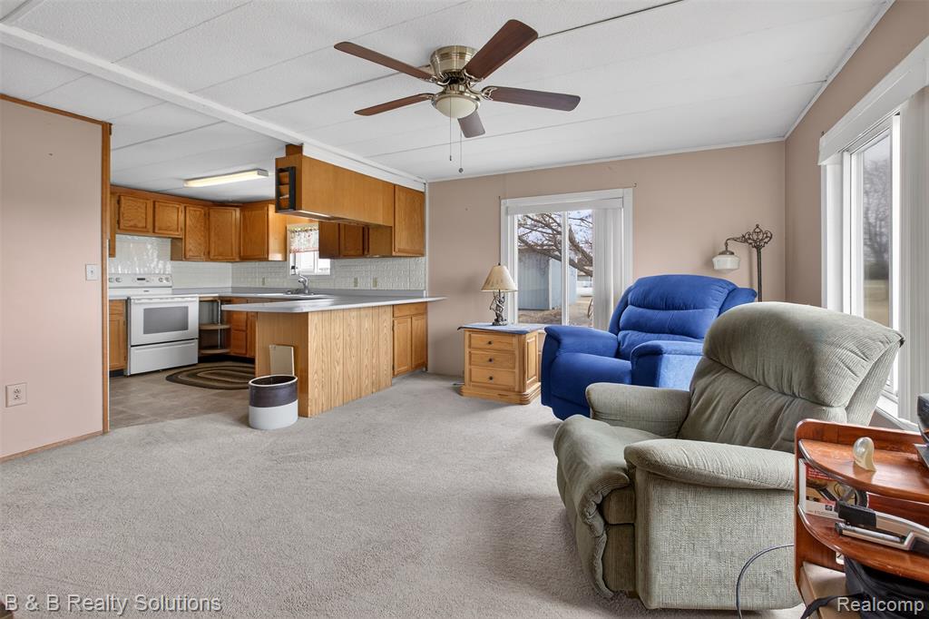6946 Clifford Road, Marlette, MI 48453 — Photo 8