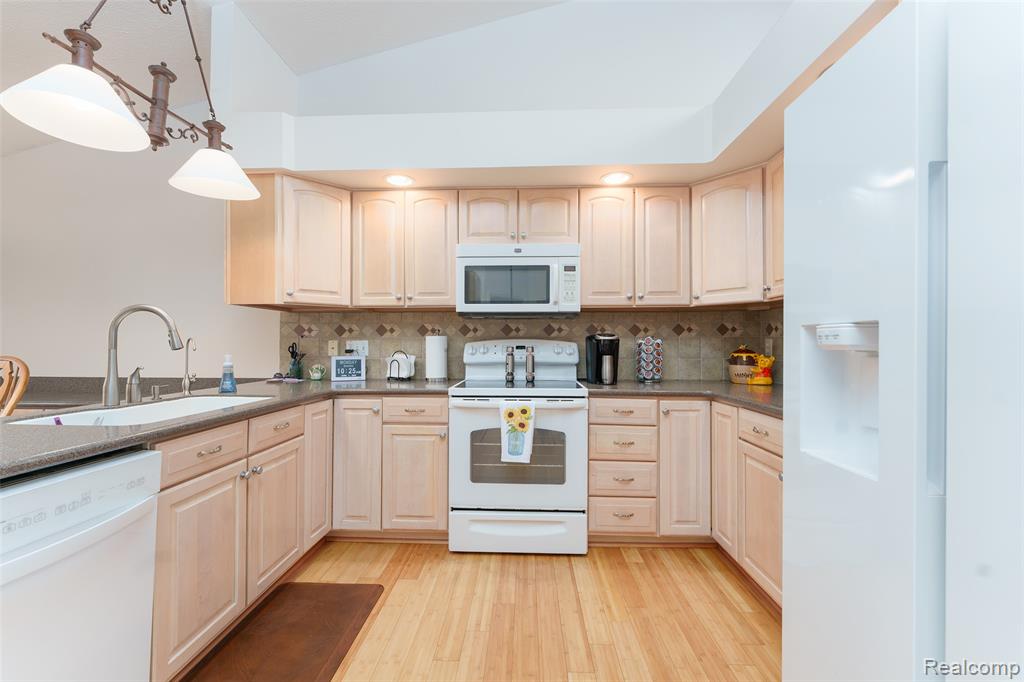 159 Addison Circle, Fowlerville, MI 48836 — Photo 8