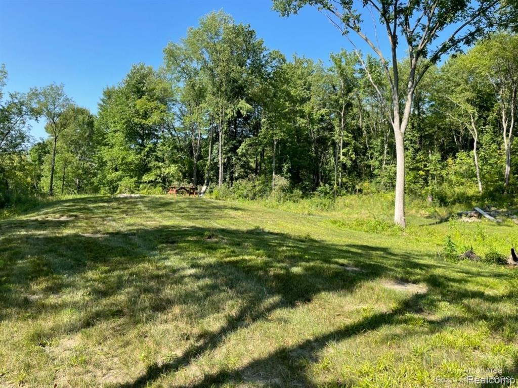 VL Denton Hills Road, Fenton, MI 48430 — Photo 10