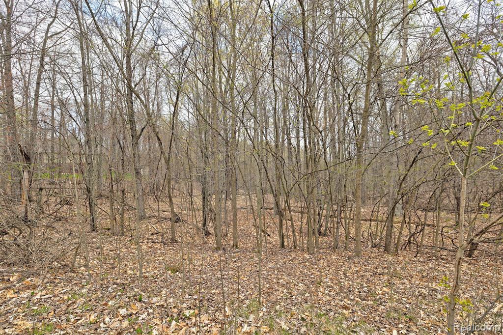 502 BLUEBIRD Trail, Ortonville, MI 48462 — Photo 35