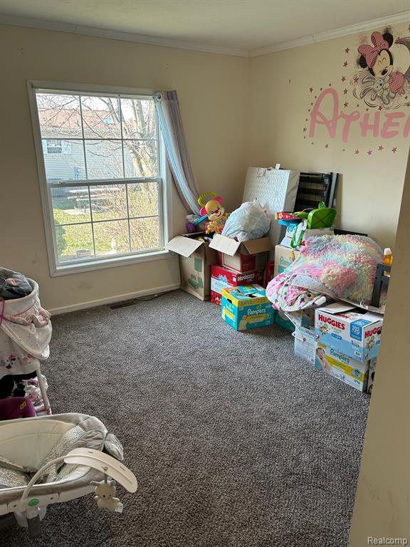 1698 SOLO Lane, Newport, MI 48166 — Photo 19