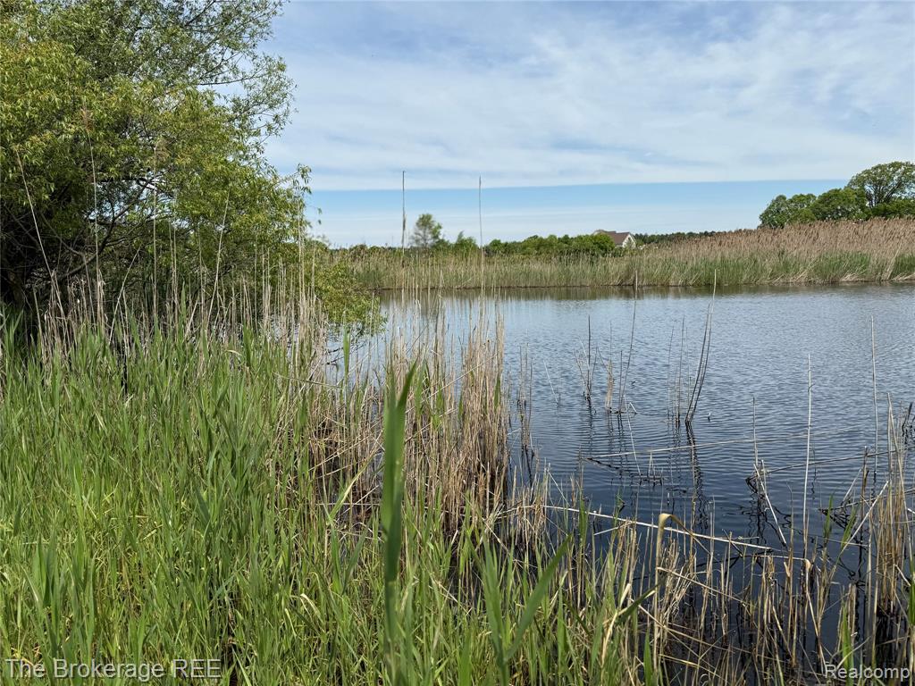 3020 Merwin Road, Lapeer, MI, 48446