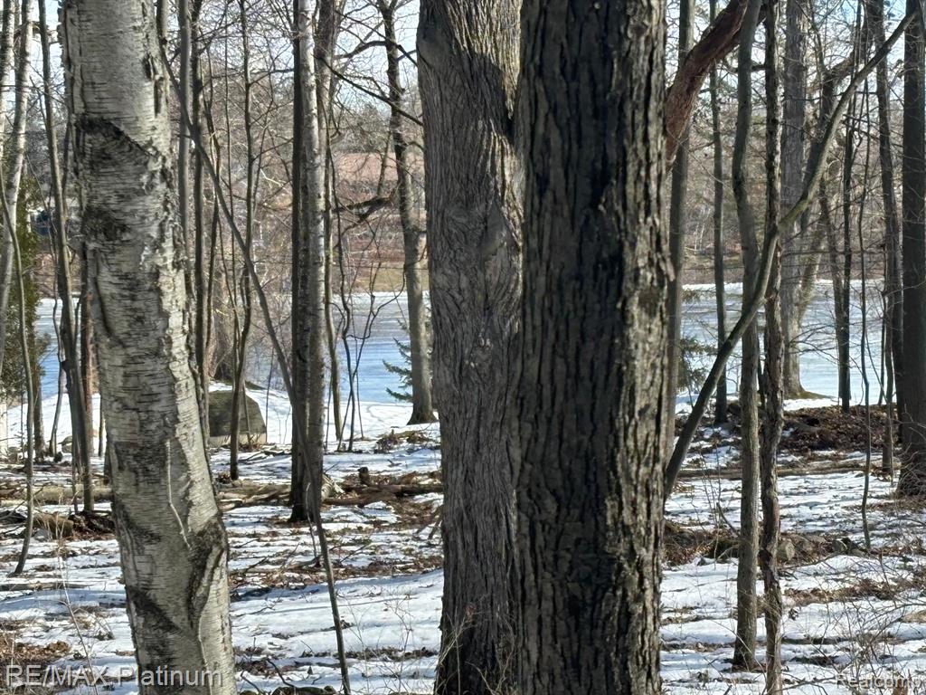 V/L TIPSICO LAKE ROAD, Holly, MI 48442 — Photo 20