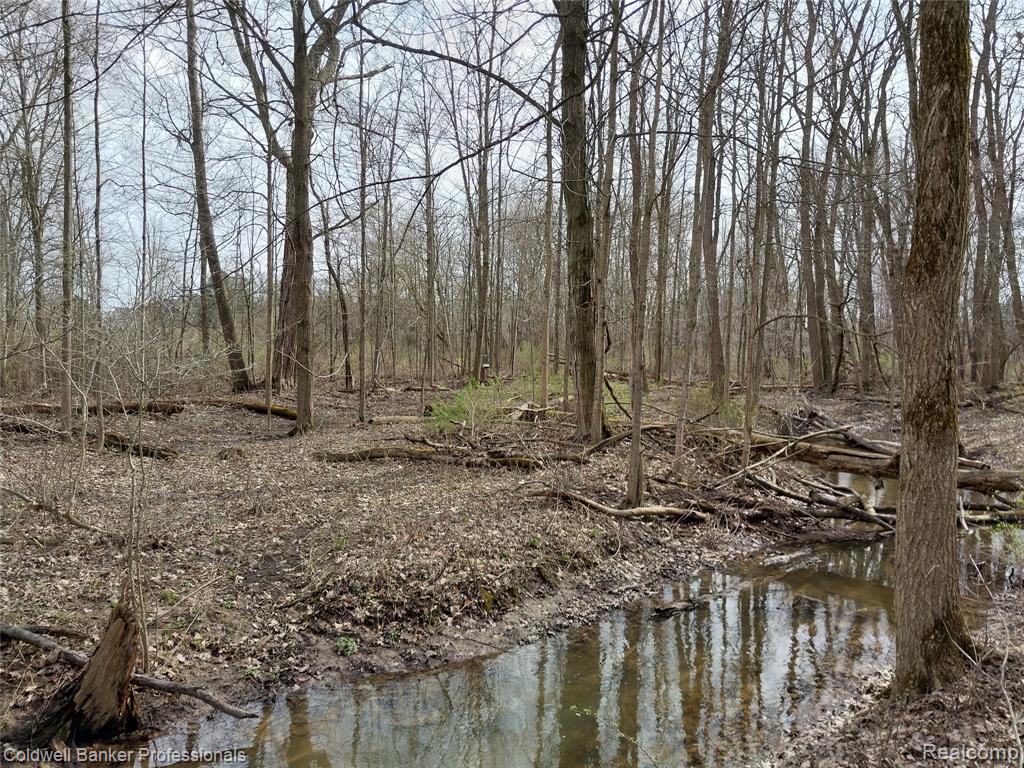 VL Rattle Run Road, St. Clair, MI 48079 — Photo 22