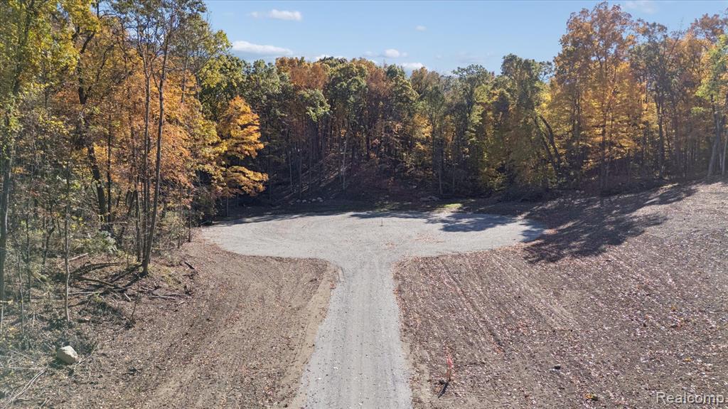 Parcel 5 Coon Lake Rd, Howell, MI 48843 — Photo 4