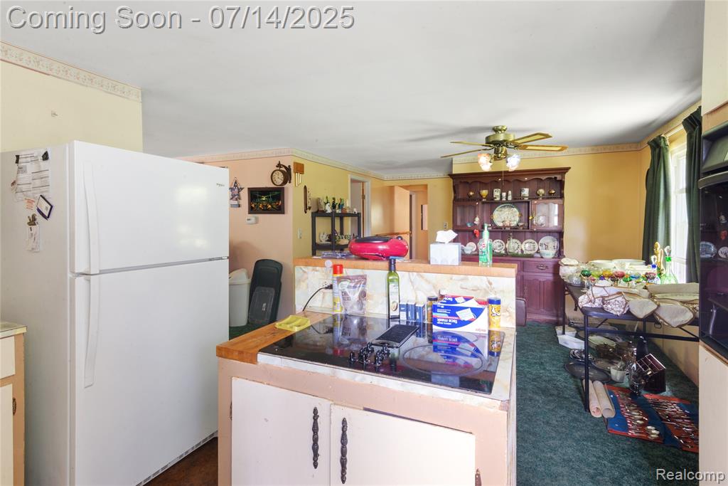 873 N Blacks Corners Road, Imlay City, MI 48444 — Photo 9