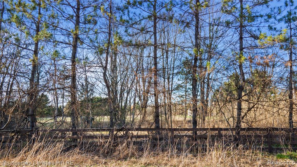 E Hunters creek Rd, Metamora, MI 48455 — Photo 11