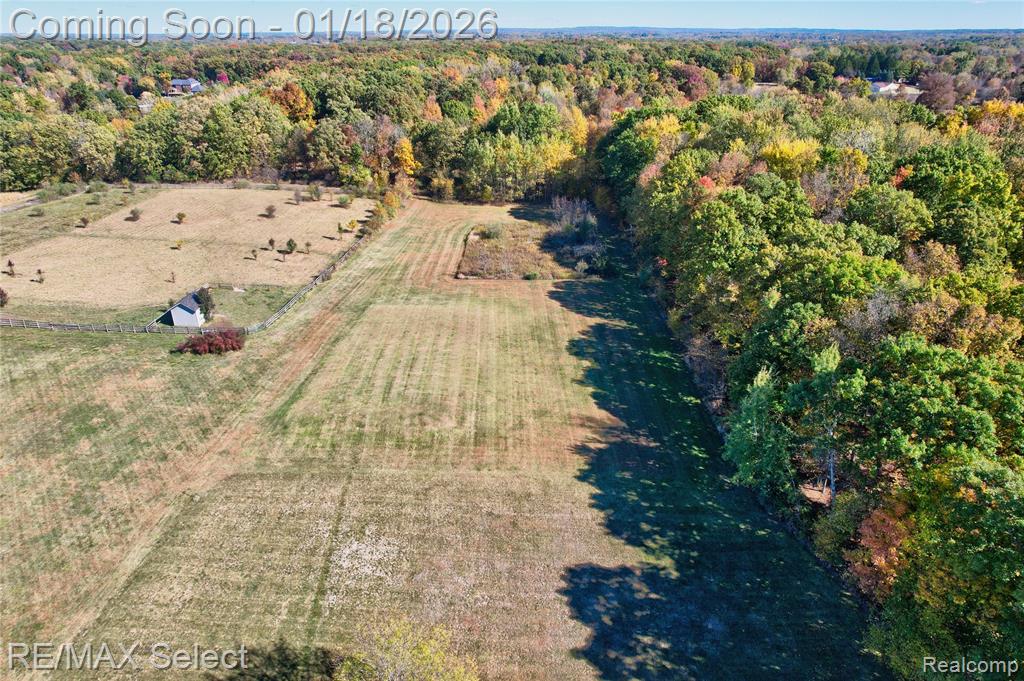 9305 Vassar Road, Grand Blanc, MI 48439 — Photo 66