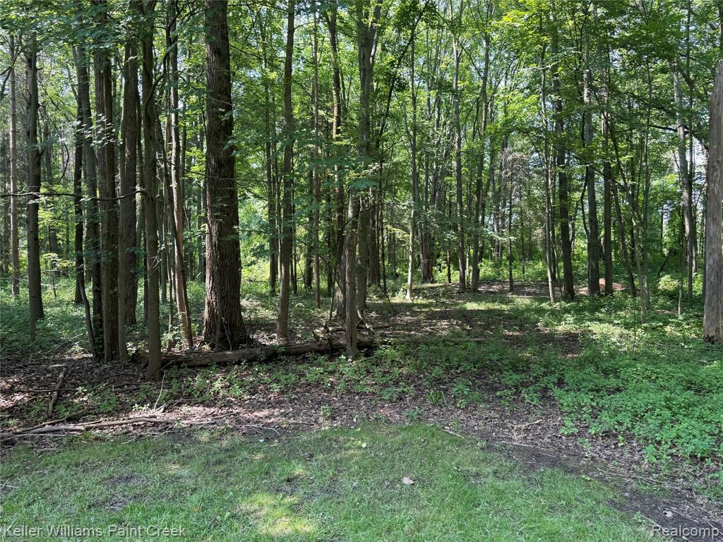6365 Hayfield Lane, Almont, MI 48003 — Photo 56