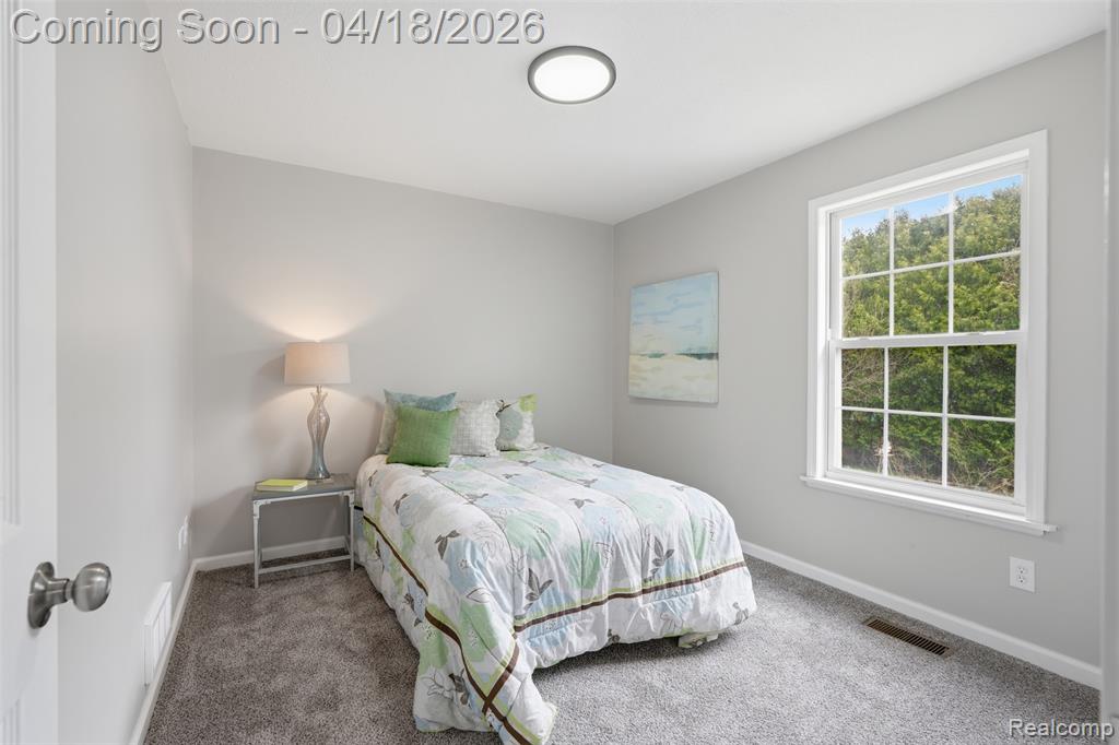118 Gale Street, Morrice, MI 48857 — Photo 16