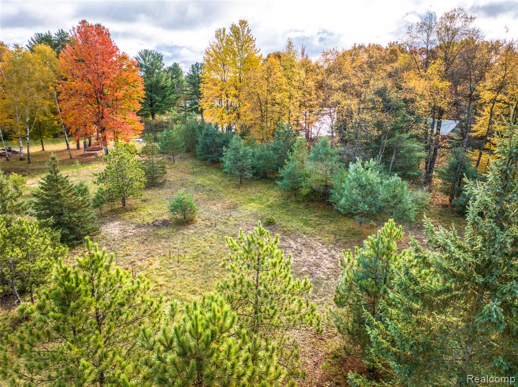 6310 Kilkenny Drive, Canadian Lakes, MI 49346 — Photo 12