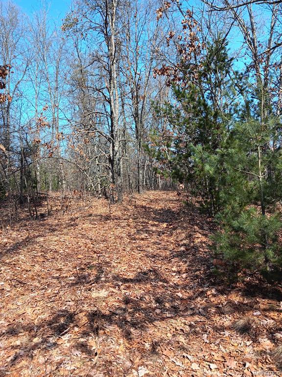 0000 Cedar Creek Road, Wellston, MI, 49689