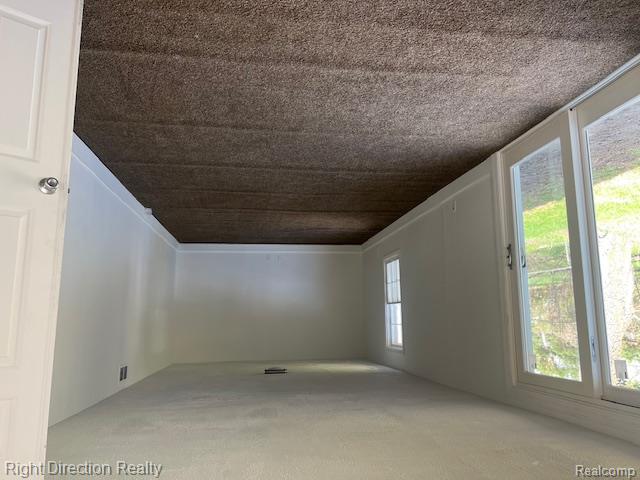 9245 Lee Road, Brighton, MI 48116 — Photo 6