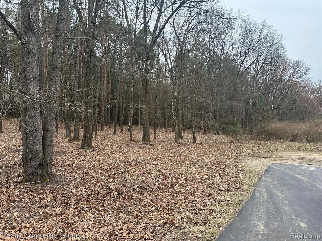 7165 SANCTUARY Drive, Jackson, MI 49201 — Photo 15