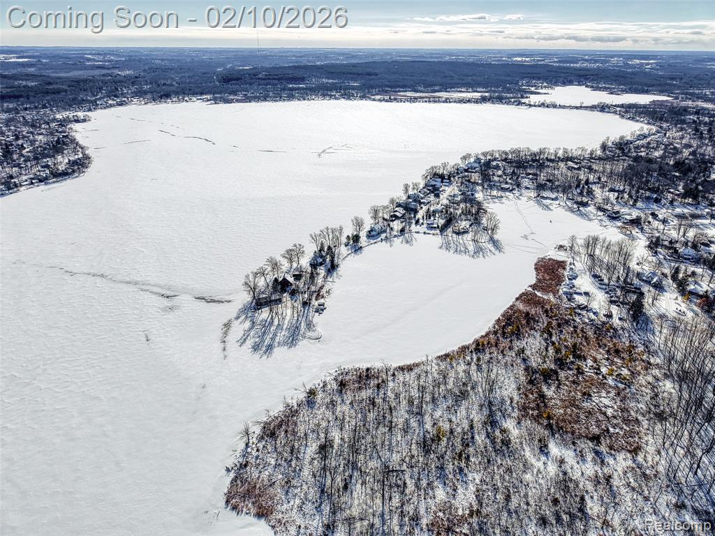 11651 Earl Street, Pinckney, MI, 48169