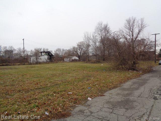 2706 HENDRICKS Street, Detroit, MI 48207 — Photo 4