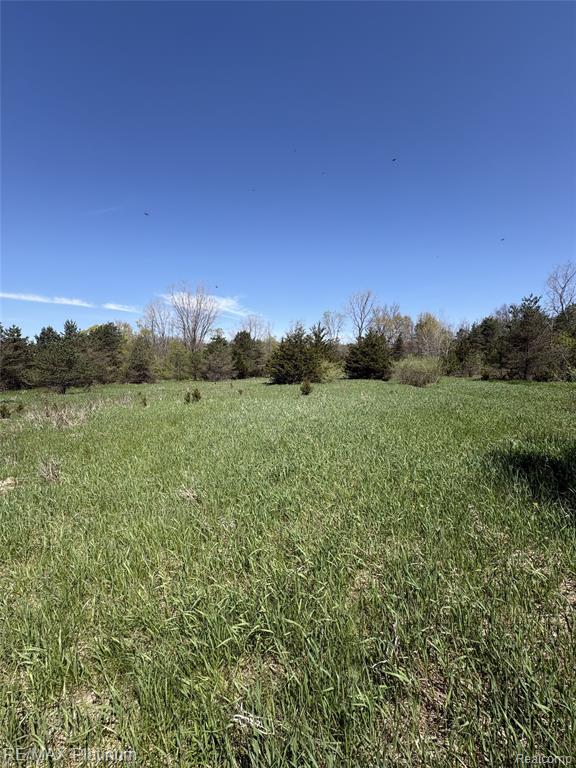 Parcel 2 Pineway Trail, Howell, MI 48855 — Photo 2