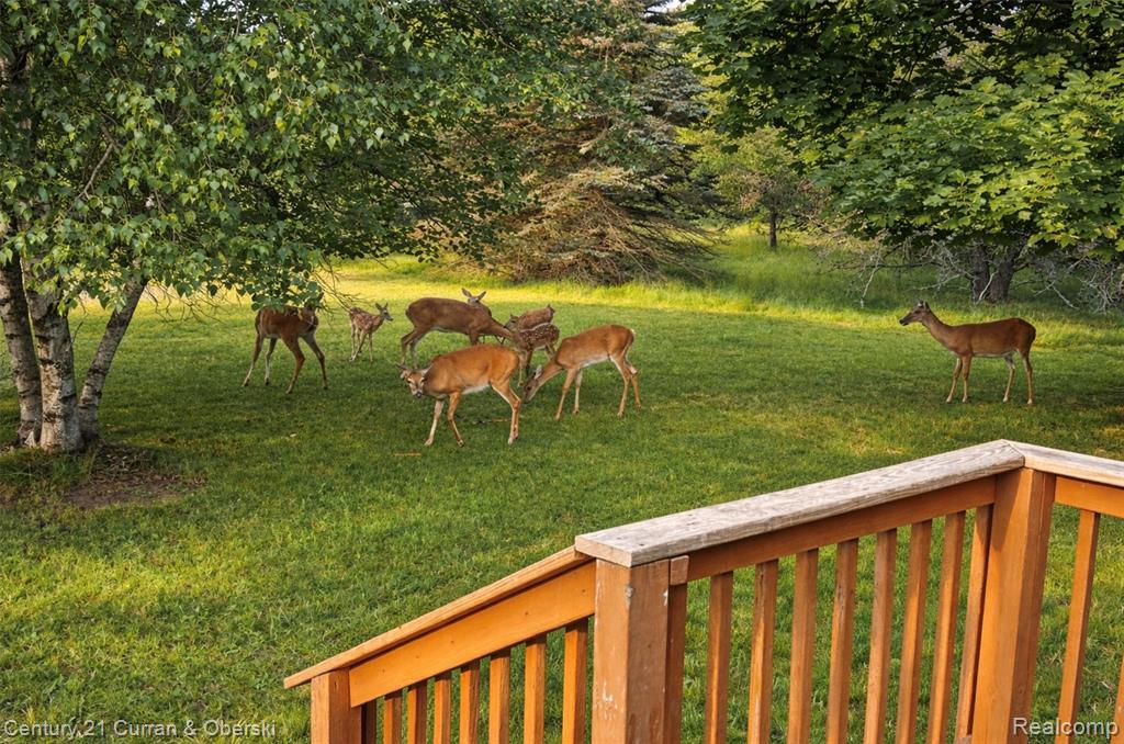 3839 W Pinewood Drive, Roscommon, MI 48653 — Photo 5