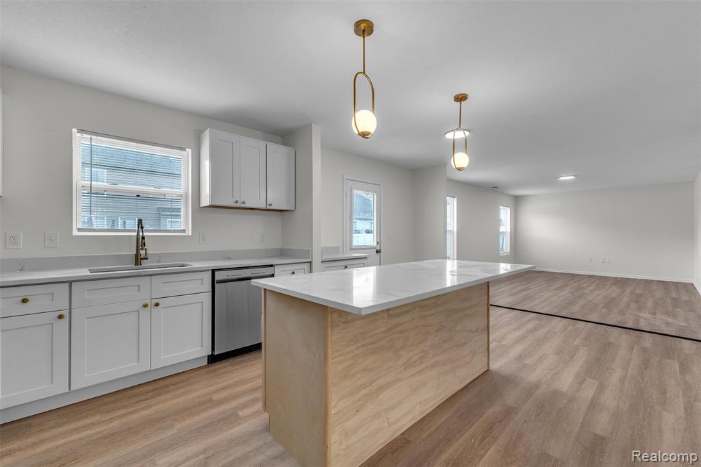 8553 Shiawassee River Drive, Fowlerville, MI 48836 — Photo 14