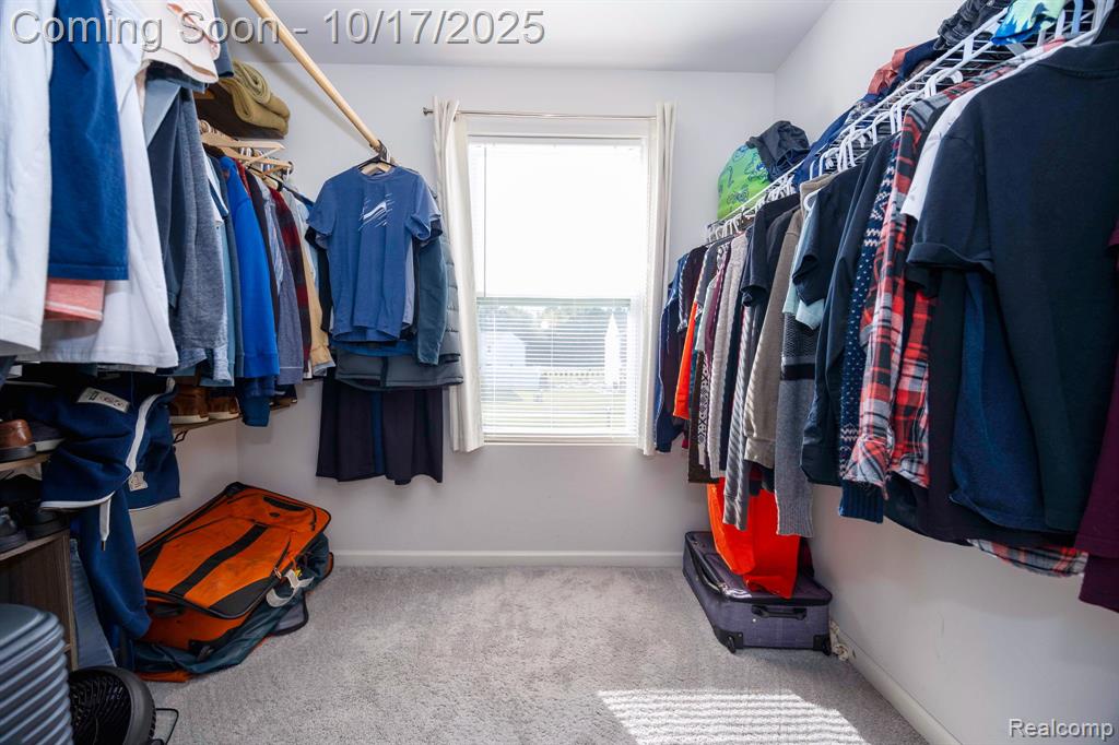 410 Natures Way, Carleton, MI 48117 — Photo 52
