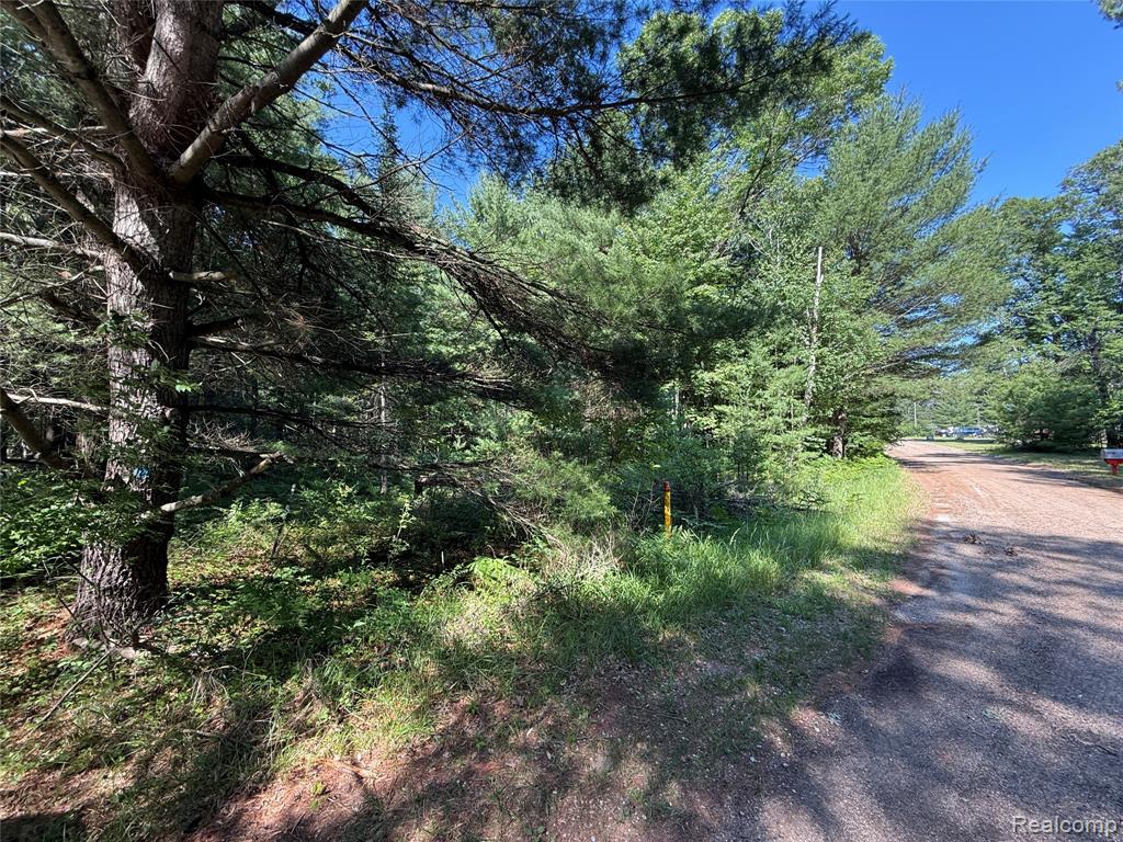 1501 Michael Drive, Alger, MI 48610 — Photo 14