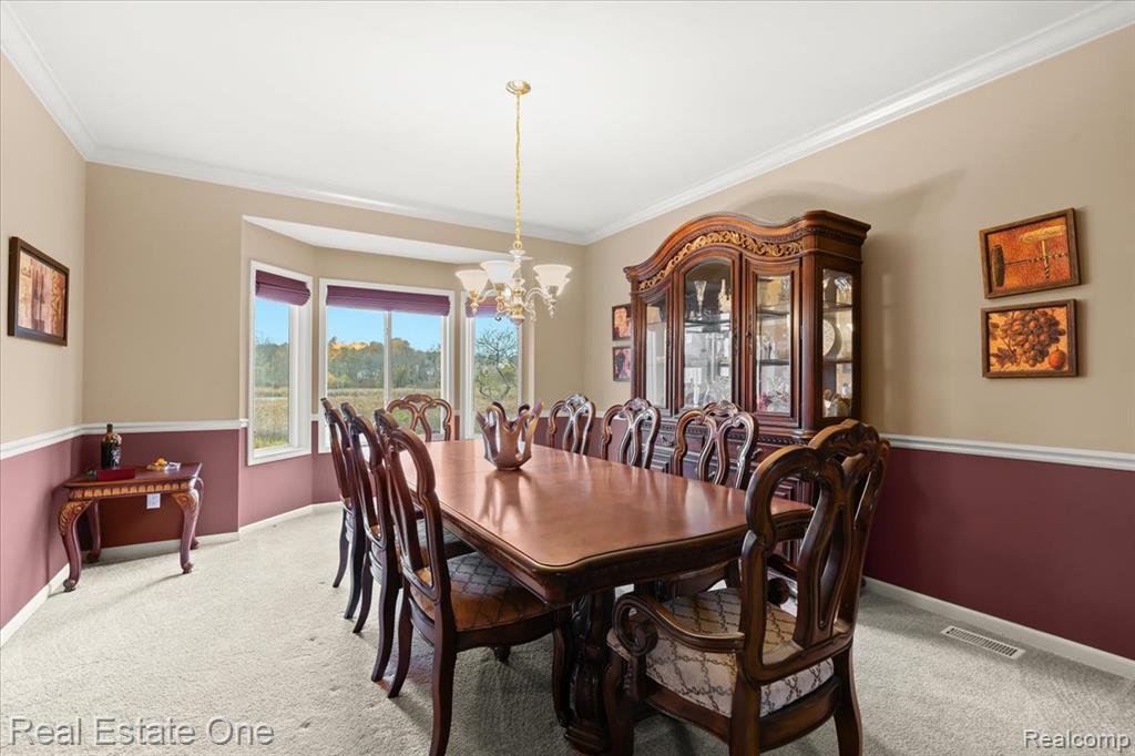 539 Olivia Drive, Milford, MI 48381 — Photo 9