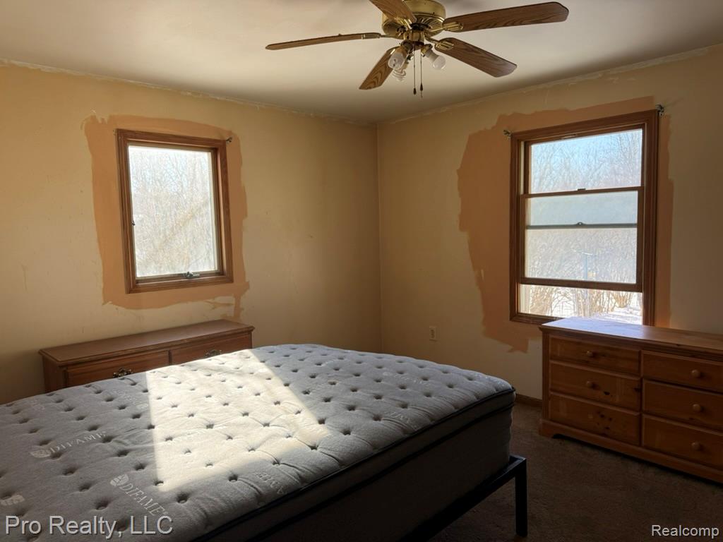 4976 Schott Road NE, Mayville Vlg, MI 48744 — Photo 12