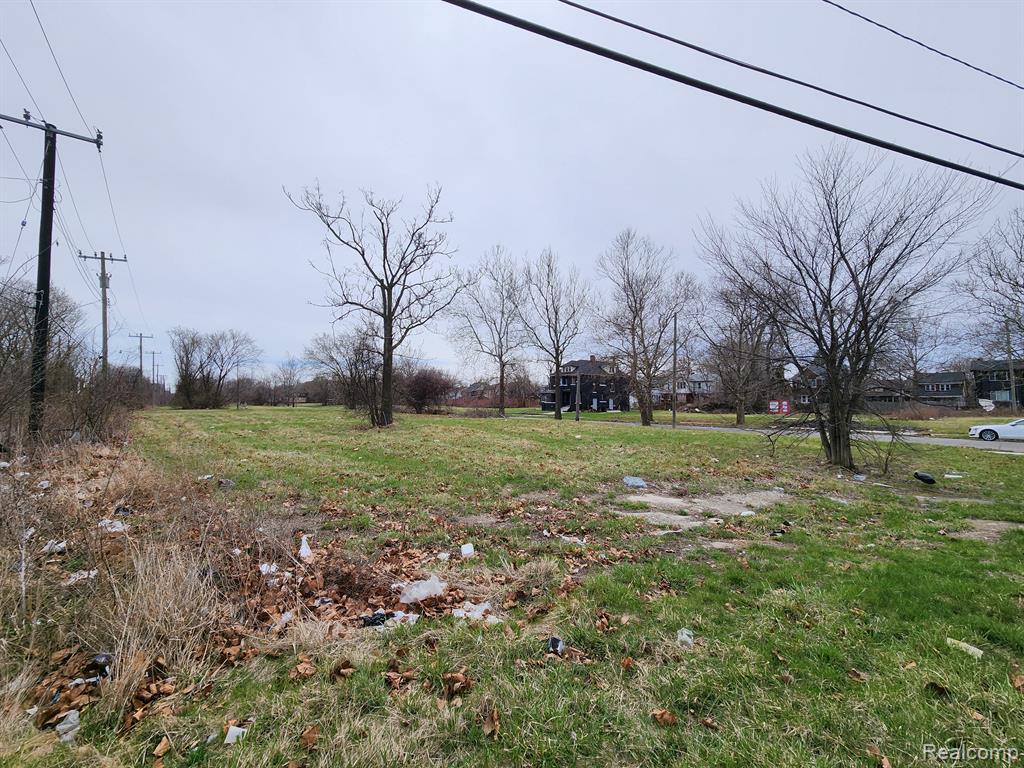 952 KITCHENER Street - Photo 4