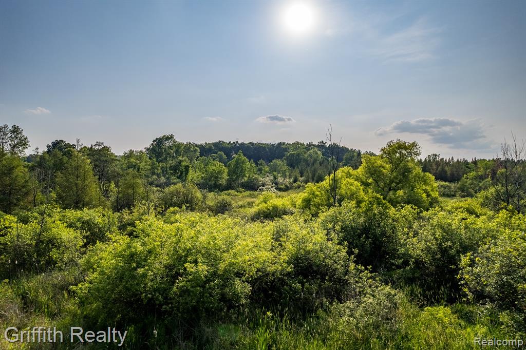 4433 Brighton Parcel B Road, Howell, MI 48843 — Photo 4