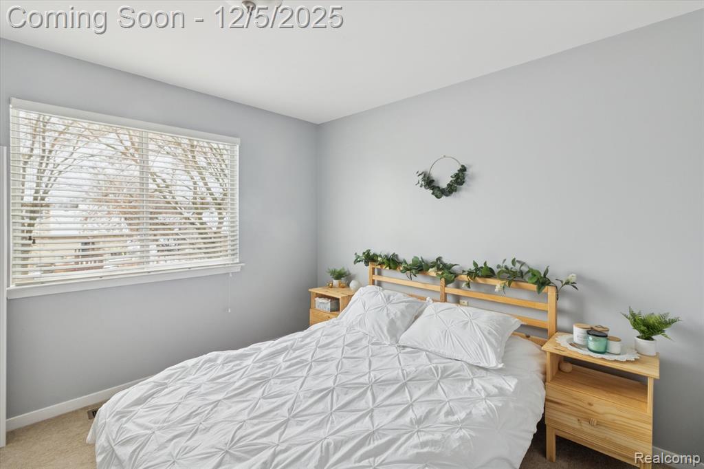 41512 Pheasant Creek Drive, Canton, MI 48188 — Photo 29