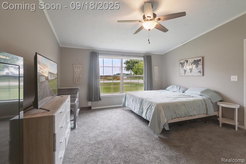 6095 Caro Road, Vassar, MI 48768 — Photo 8