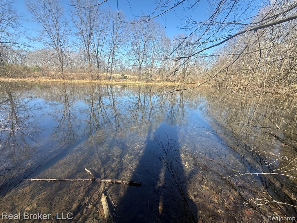 1802 N Elba Road, Lapeer, MI 48446 — Photo 49