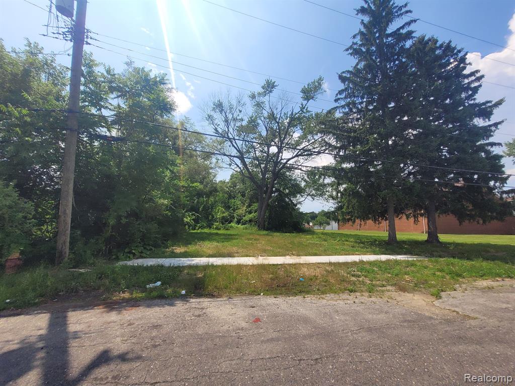 9585 IRIS Street, Detroit, MI 48227 — Photo 6
