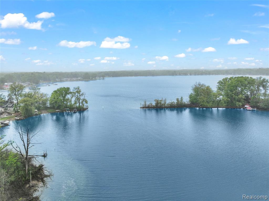 8844 RIVERSIDE Drive, Brighton, MI 48116 — Photo 4