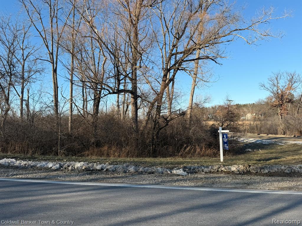 0 Ben Hur Drive, Brighton, MI 48114 — Photo 3