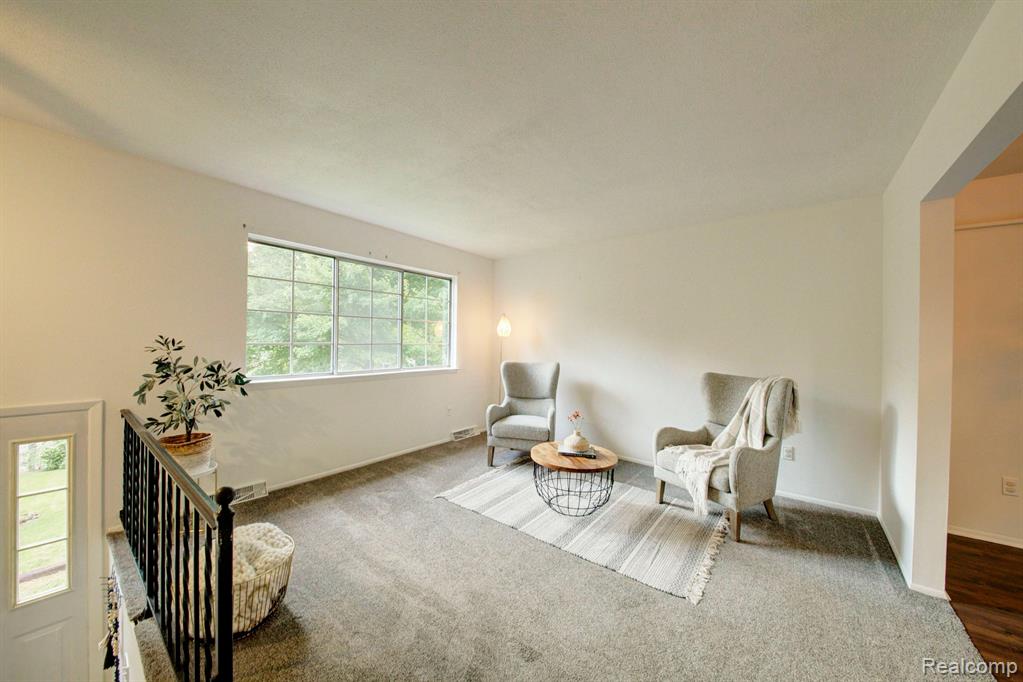 5221 VAN WINKLE Street, Brighton, MI 48116 — Photo 5