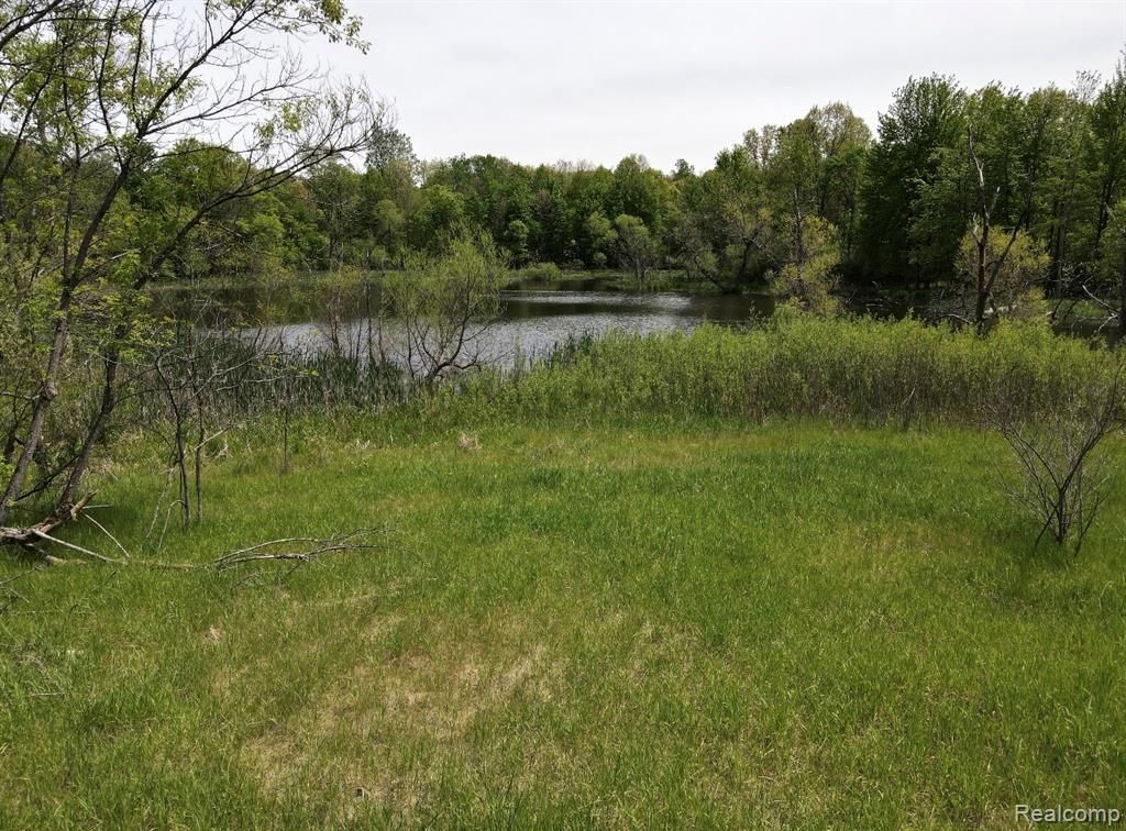 8450 Pepper Road - Photo 4