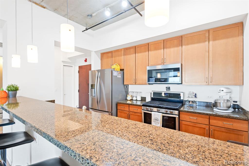 3670 UNIT 412 WOODWARD Avenue, Detroit, MI 48201 — Photo 17