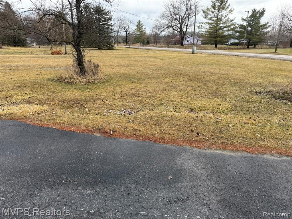 12113 E Carpenter Road, Davison, MI 48423 — Photo 4