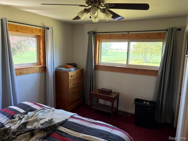 4815 Loree Road, Deckerville, MI 48427 — Photo 23