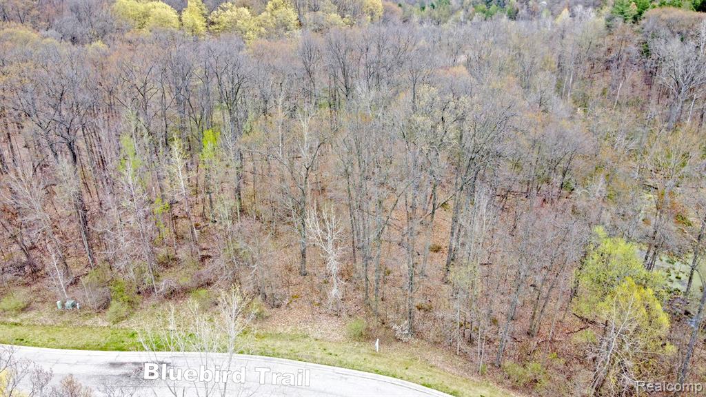 207 ASTOR KNOLLS Drive, Ortonville, MI 48462 — Photo 19