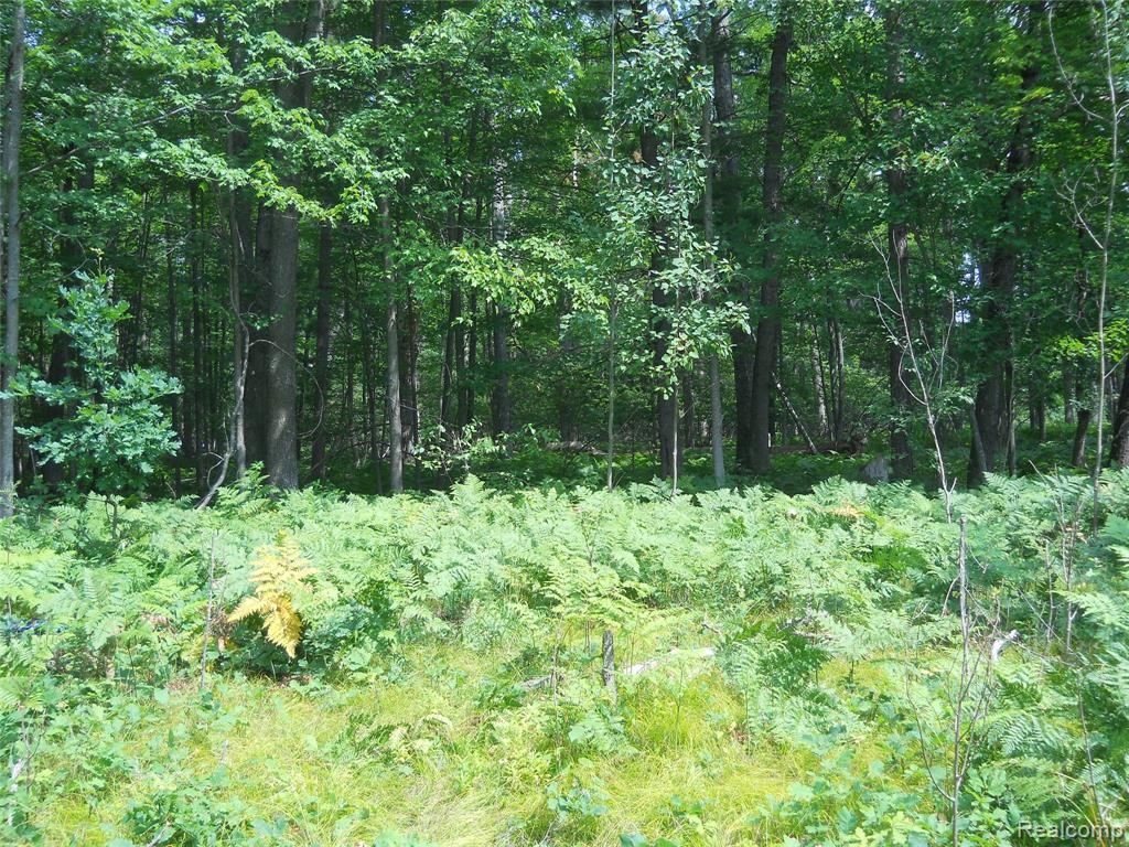 1185 E Hughes Lake Road, Rose City, MI 48654 — Photo 24