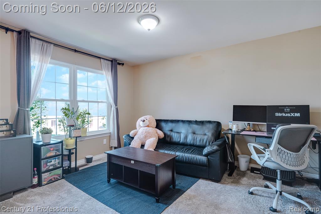 28323 Oakmonte Circle, New Hudson, MI 48165 — Photo 52